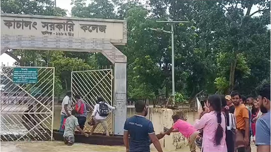 image-here